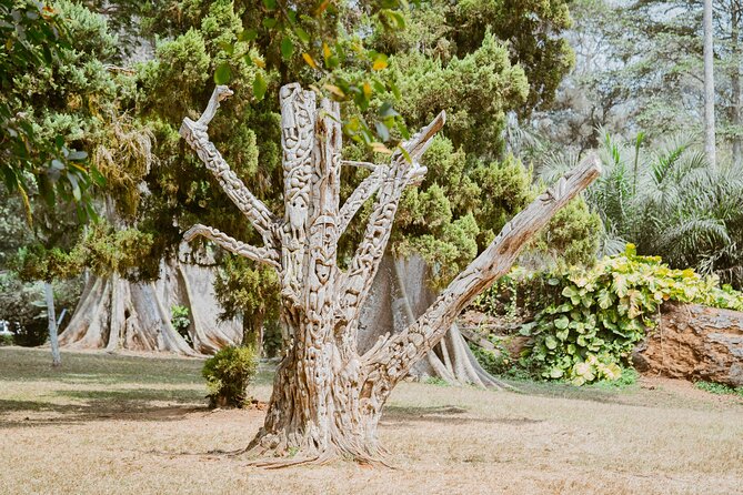 Explore Aburi Botanical Gardens And Boti Falls - Final Thoughts: Is This Tour Worth It?