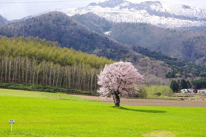Furano Private Customizable Half Day Tour - Who Should Book This Tour?