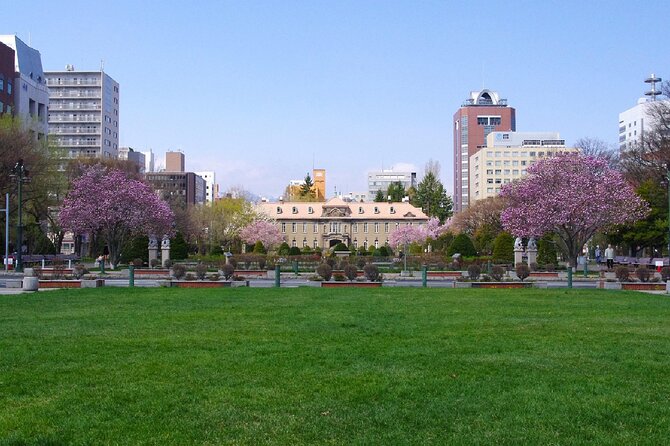 Sapporo Walking Tour: Explore Top Sights & Hidden Gems - The Sum Up