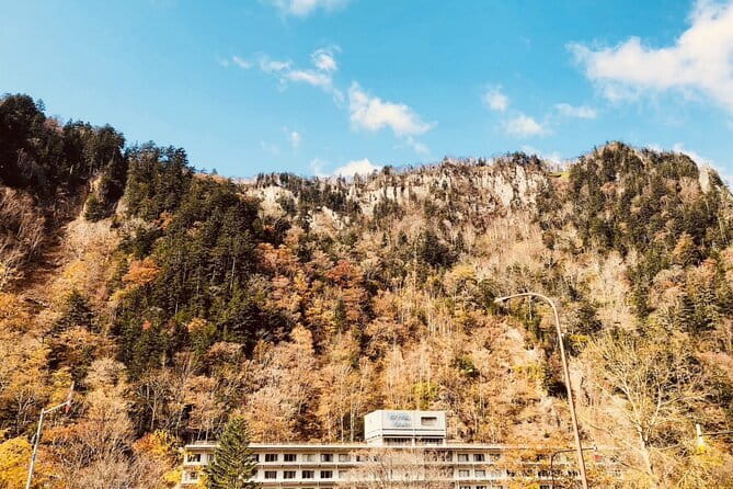 (Departing From Niseko) Full-Day Citytour of Sapporo With Guide!! - Customer Feedback