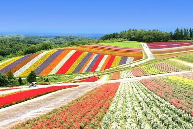 Hokkaido Day Trip From Sapporo: Asahiyama Zoo to Ningle Terrace - Confirmation and Review Information