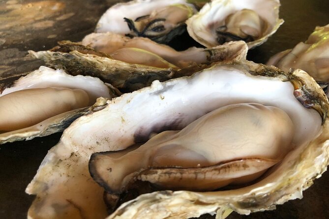 [Oysters in Suto] Let's go to Cape Kamui, Oyster Hut and Fukidashi Park by private car!To/from Sapporo - Practical Details and Value