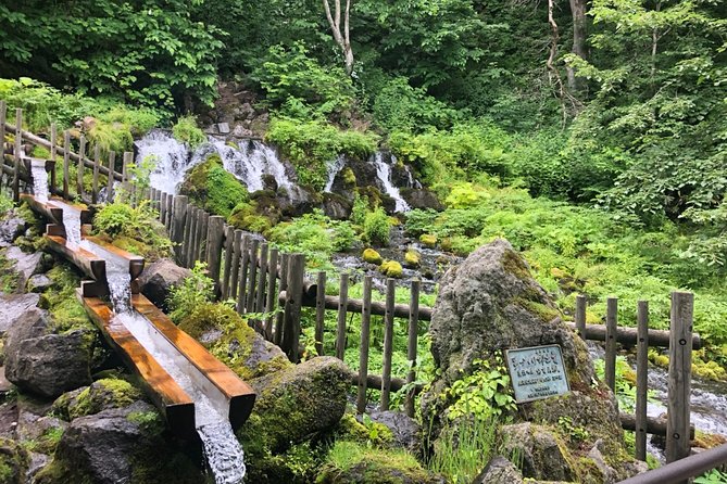 [Oysters in Suto] Let's go to Cape Kamui, Oyster Hut and Fukidashi Park by private car!To/from Sapporo - An In-Depth Look at the Experience