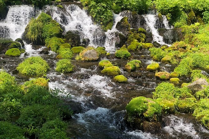 [Oysters in Suto] Let's go to Cape Kamui, Oyster Hut and Fukidashi Park by private car!To/from Sapporo - Final Thoughts