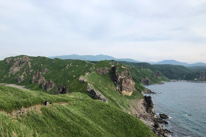 [Oysters in Suto] Let's go to Cape Kamui, Oyster Hut and Fukidashi Park by private car!To/from Sapporo - Final Verdict