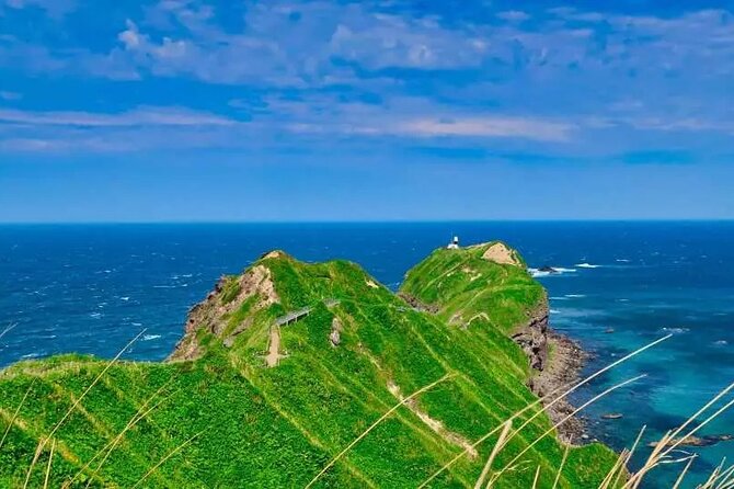 Hokkaido Cape Kamui Shimamui Coast Otaru Day Tour from Sapporo - A Closer Look at What This Tour Offers