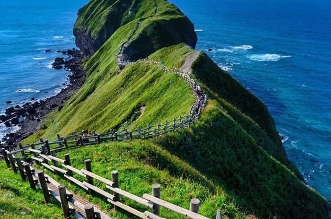 Hokkaido Cape Kamui Shimamui Coast Otaru Day Tour from Sapporo - Frequently Asked Questions