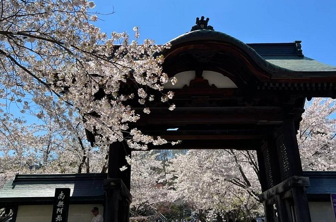 Sapporo City Cherry Blossom Private Sightseeing Tour - Final Thoughts