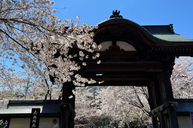 Sapporo City Cherry Blossom Private Sightseeing Tour - Sapporo City Cherry Blossom Private Sightseeing Tour: A Practical and Authentic Experience