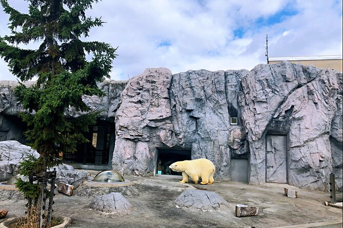 Hokkaido: Asahiyama Zoo, Furano, and Ningle Terrace Tour - Final Thoughts: Is It Worth It?