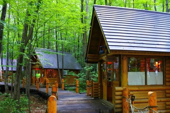 Hokkaido: Asahiyama Zoo, Furano, and Ningle Terrace Tour - Key Points