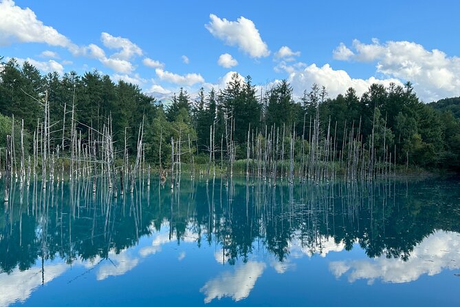 Sapporo to Blue Pond & Shirahige Falls Furano Private Tour - Key Points
