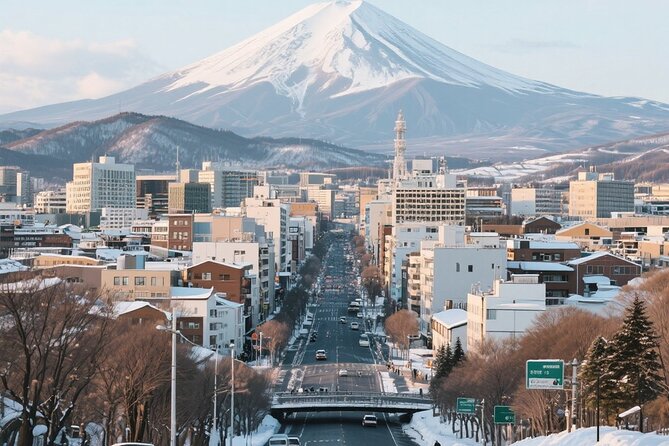 New Chitose Airport(CTS): Private Transfer to/from Niseko/Sapporo - A Detailed Look at the Experience