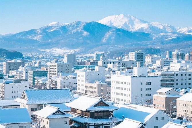 New Chitose Airport(CTS): Private Transfer to/from Niseko/Sapporo - Final Thoughts