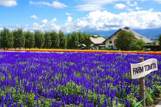 Hokkaido Day Tour Farm Tomita, Blue Pond, Blue Pond and Buffet - An Authentic Taste of Hokkaido’s Nature and Cuisine