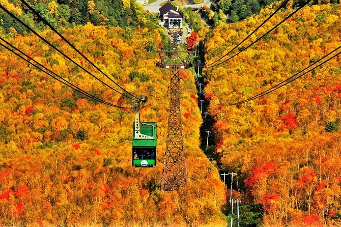 Kurodake Ropeway, Asahiyama Zoo Autumn Leaves Bus Tour - Who Will Love This Tour?