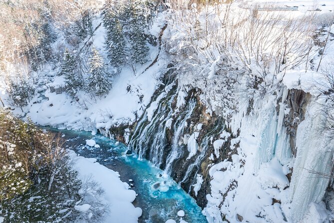 [Late Departure] Biei Best 5 Must-Visit Day Tour from Sapporo - Why Choose the Late Departure Biei Tour?