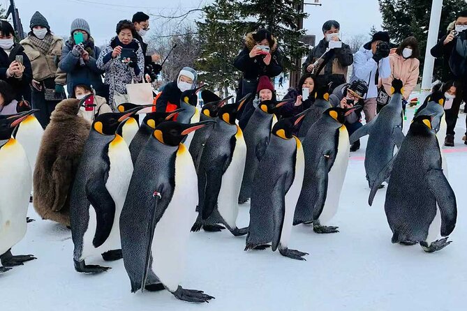 Small Group Hokkaido Sapporo Abashiri 9-Guest 2-Day Tour - Practical Tips for Making the Most of the Tour