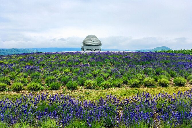 From Hitsujigaoka to Buddha Hill Sapporo Photo Spots Tour - Good To Know