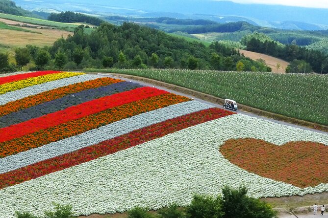 1 Day Tour from Sapporo Blue Pond and Hills of Seasonal Colors - FAQ