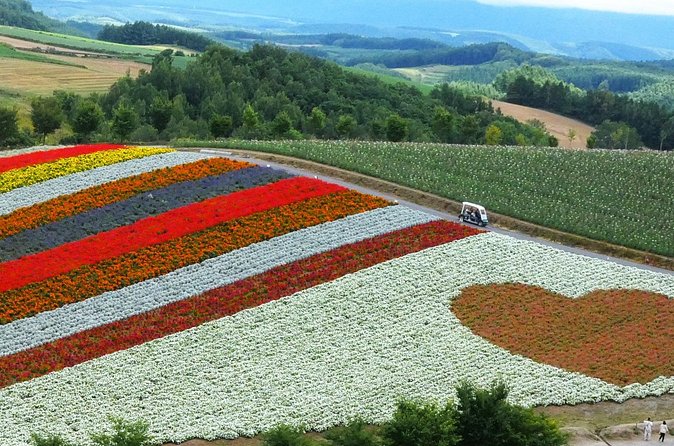 1 Day Tour from Sapporo Blue Pond and Hills of Seasonal Colors - Our Final Thoughts