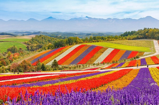 1 Day Tour from Sapporo Blue Pond and Hills of Seasonal Colors - Who Will Love This Tour