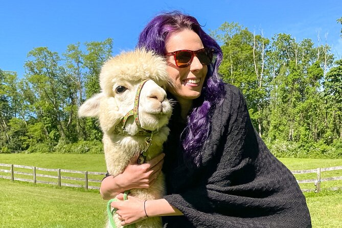 Alpaca and Llama Trek in Pleasant Valley - The Farm Setting and Scenery