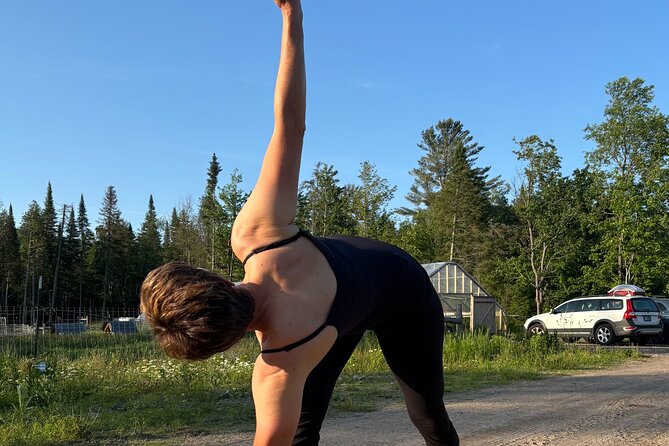 Yoga on the Farm in the Adirondacks - Why You Might Enjoy This Experience
