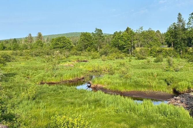 Yoga on the Farm in the Adirondacks - Final thoughts