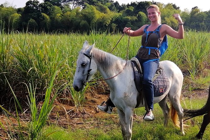 Cali: Horseback riding through beautiful landscapes and mountains - An In-Depth Look at the Cali Horseback Riding Tour