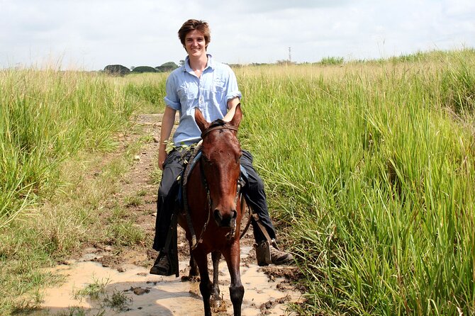 Cali: Horseback riding through beautiful landscapes and mountains - Key Points