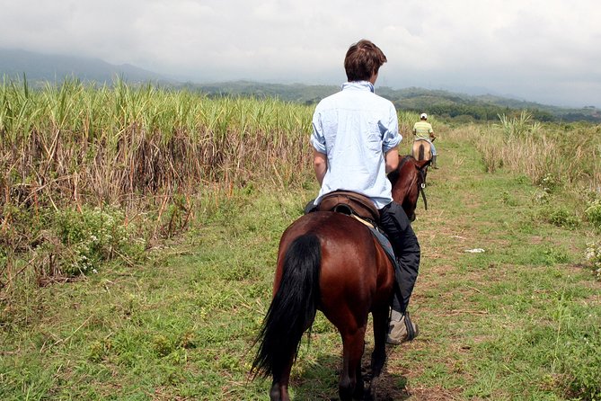 Cali: Horseback riding through beautiful landscapes and mountains - Final Thoughts: Why Choose This Experience?