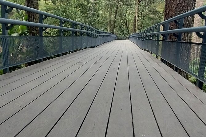 TRANSFER TO EL BOQUERON SAN SALVADOR NATURAL PARK VOLCANO - Who Would Love This?