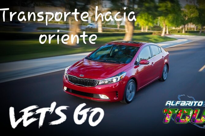 TRANSPORTATION TO THE AIRPORT FOR GROUPS OR FAMILIES - Final Thoughts: Is It Worth It?