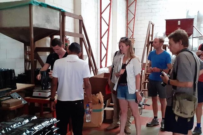 Coffee tour and thermal waters - A Deep Dive Into the Tour: What to Expect