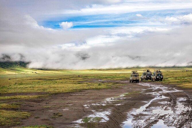 5 Days Private Budget Lodge Safari to Serengeti & Ngorongoro - What’s Included & What’s Not