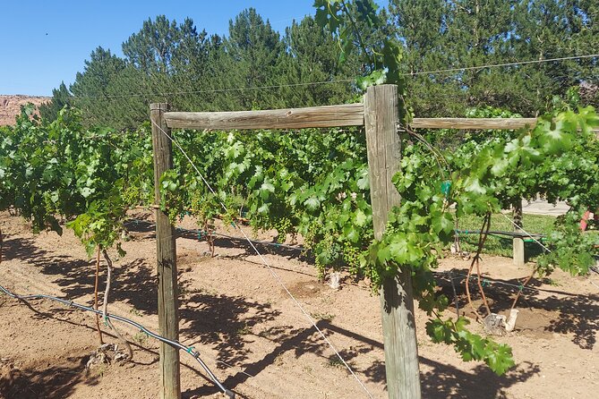 Moab Back Roads, History and Winery E-Bike Tour - An In-Depth Look at the Moab Back Roads, History, and Winery E-Bike Tour