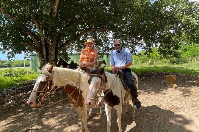 Horseback Riding and Taíno Cave Exploration - Good To Know