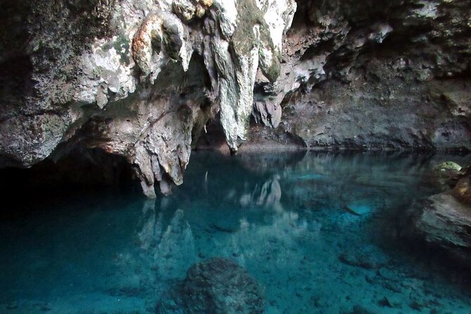 Full-Day Shared Cultural Excursion: Punta Cana to Santo Domingo - Good To Know