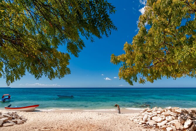 Bahía de las águilas glamping experience from Santo Domingo - Key Points