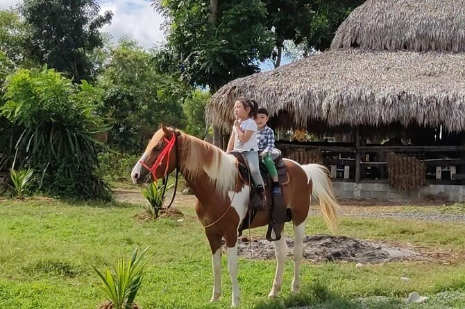 Horseback Riding tour near Santo Domingo with pick up and dropoff - Key Points