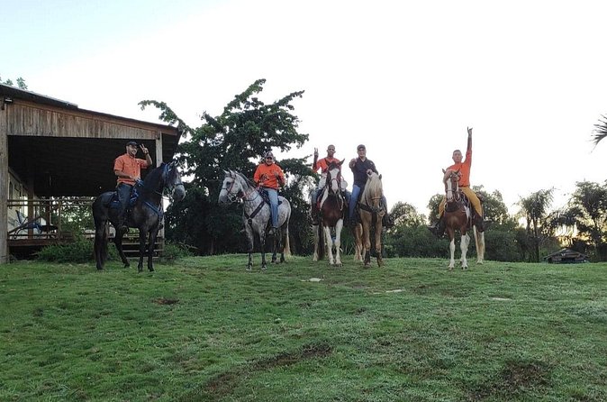 Horseback Riding tour near Santo Domingo with pick up and dropoff - The Sum Up