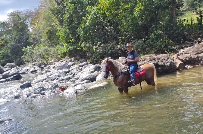 Horseback Riding tour near Santo Domingo with pick up and dropoff - FAQ