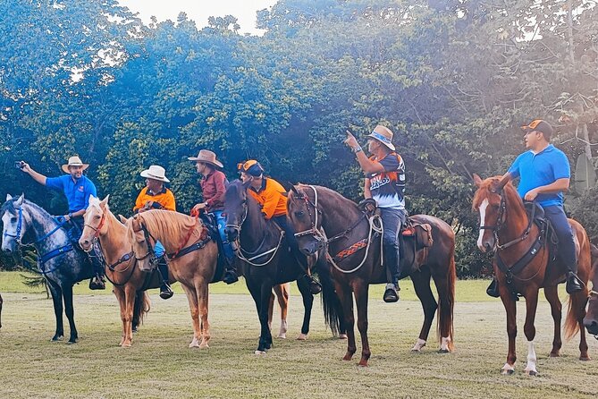 Horseback Riding tour near Santo Domingo with pick up and dropoff - A Ride Through the Dominican Countryside: Horseback Riding Near Santo Domingo