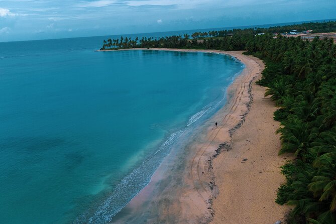 Scenic Wonders: Montaña Redonda & Playa Esmeralda - In-Depth Review of the Scenic Wonders Tour