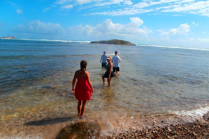 Private Customizable Island Sightseeing Tour in St Maarten - The Breakdown of the Tour