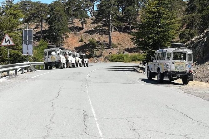 Full Day Troodos Guided Safari Tour with Pick Up - An Authentic Taste of Cyprus