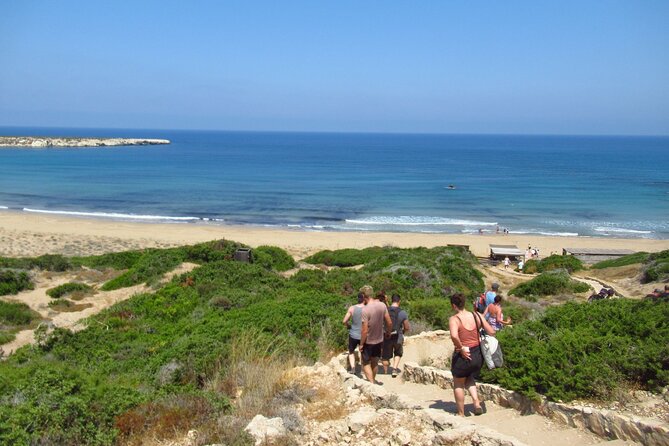 Quad or Buggy Tour from Coral Bay to Akamas Forest - The Sum Up