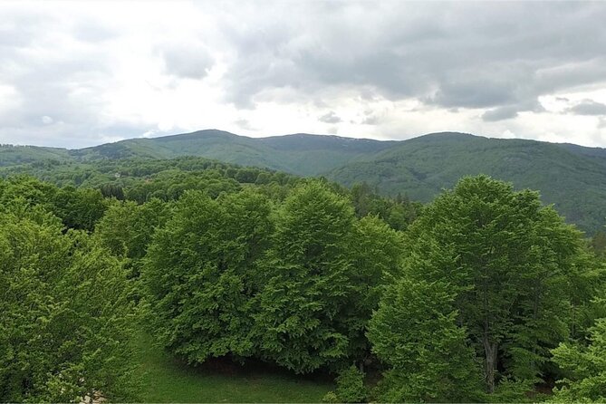 From Sofia: Serbia and Macedonia Trip - Frequently Asked Questions