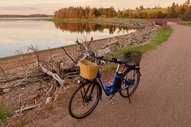 Day Tour of St. Peters Bay to Greenwich National Park - Authentic Experiences as Shared by Guests